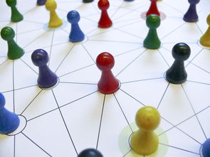 爱游戏体育APP下载-中国篮球教练员执教能力提升路径,全国篮球教练员岗位培训