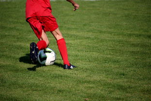 AYX SPORTS-法甲营养恢复系统提升球员赛季稳定性调查