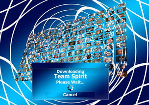 AYX体育官网-球迷盛典：现场氛围与体育精神的融合，球迷知识