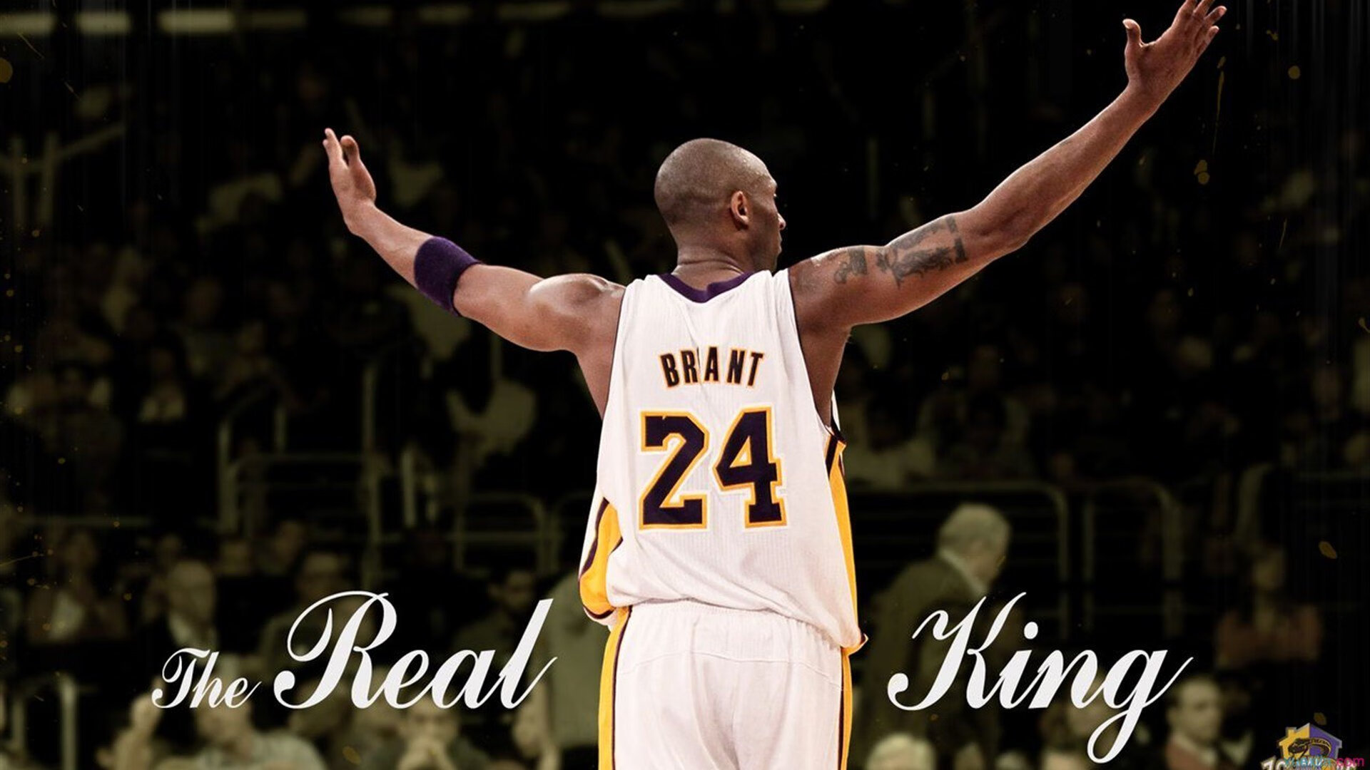 爱游戏 电竞-欧冠现场：球迷自制创意应援旗帜盘点，球赛应援牌